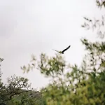 Domaine Acciola Szálloda 3*