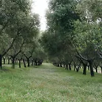 Domaine Acciola