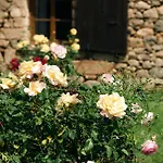 Domaine Acciola 3* Feliceto