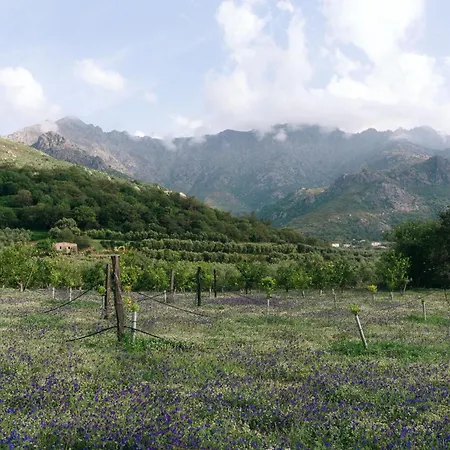 Szálloda Domaine Acciola 3*