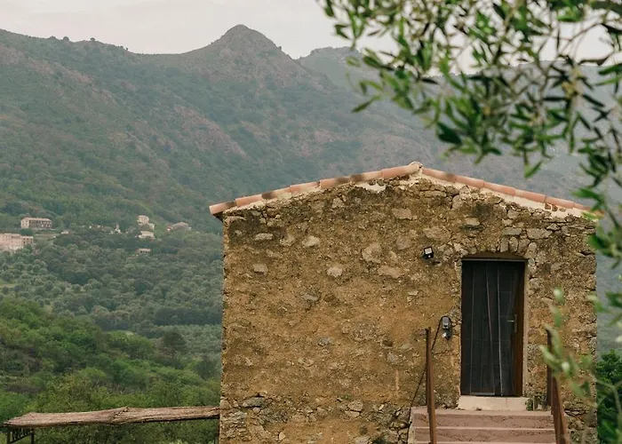 Domaine Acciola Hotel Feliceto