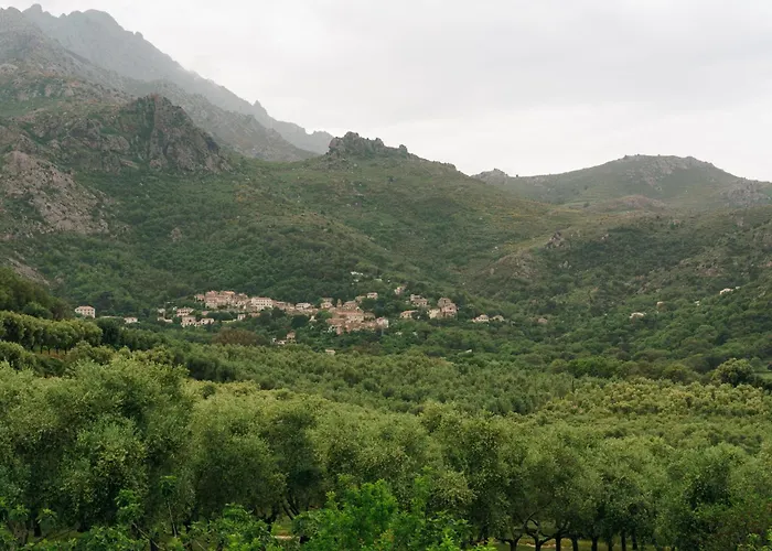 Hotel Domaine Acciola 3*