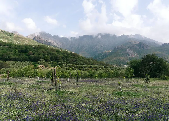 Hotel Domaine Acciola 3*