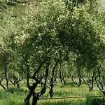 Domaine Acciola