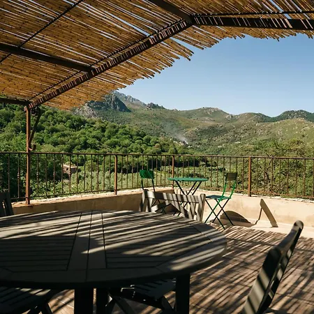 Domaine Acciola