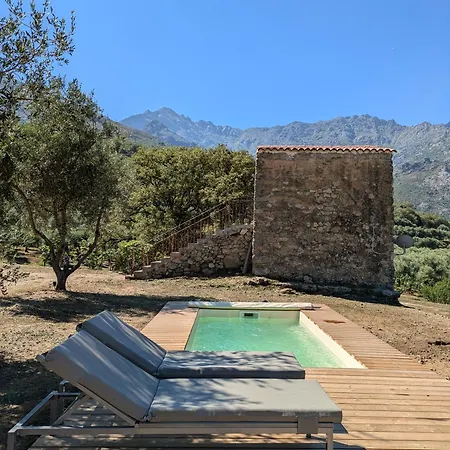 Domaine Acciola Hotell Feliceto