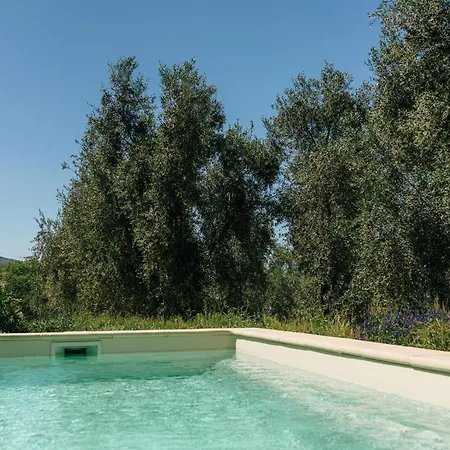 Domaine Acciola 3* Feliceto