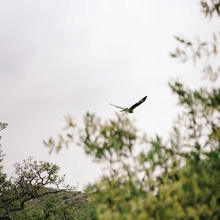 Domaine Acciola מלון 3*