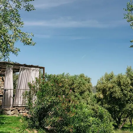 מלון Domaine Acciola פליקטו