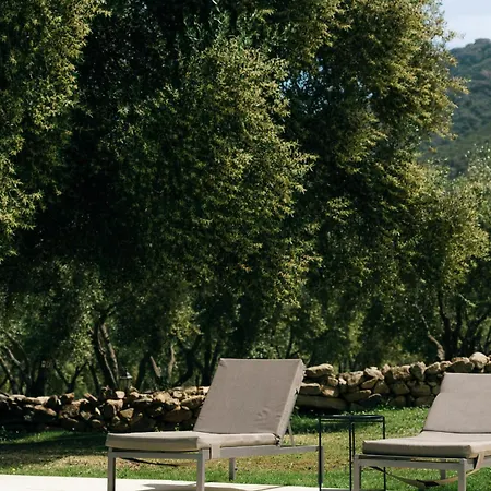 Domaine Acciola 3* פליקטו