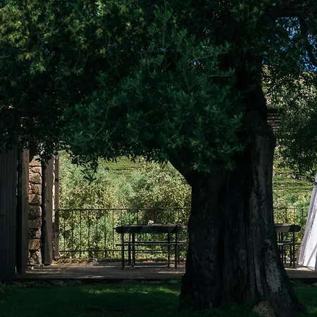 Domaine Acciola מלון פליקטו