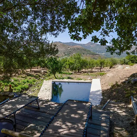 Domaine Acciola