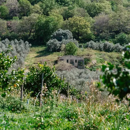 Domaine Acciola Hotel Feliceto