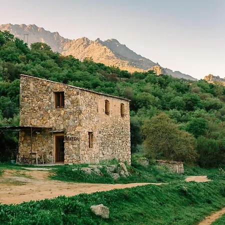 Domaine Acciola