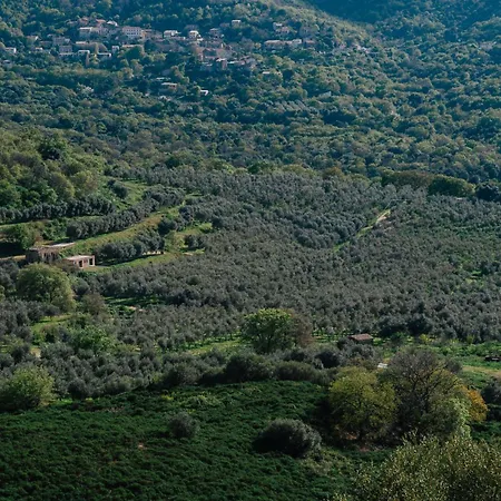 Domaine Acciola