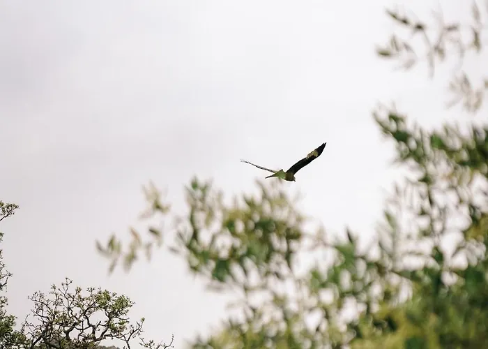 Domaine Acciola Hotel 3*