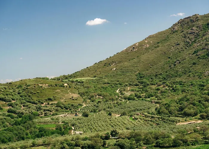 Domaine Acciola Feliceto